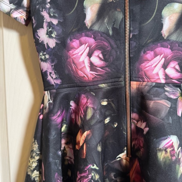 Ted Baker Tamary Shadow Floral Skater Dress Size 1= US 4 - Picture 11 of 13
